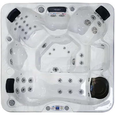 Avalon EC-849L hot tubs for sale in Little Rock