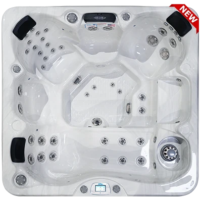 Avalon-X EC-849LX hot tubs for sale in Little Rock